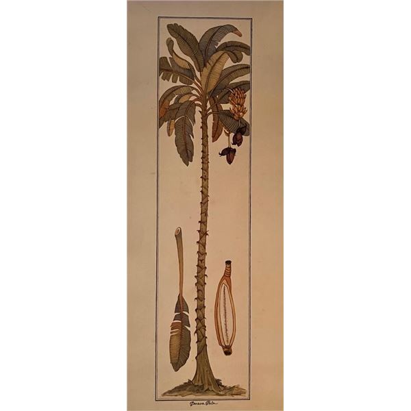 Vintage Tropical Banana Palm Tree Art Print