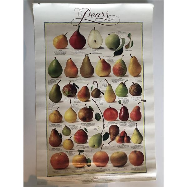 Lithographic Pear Poster