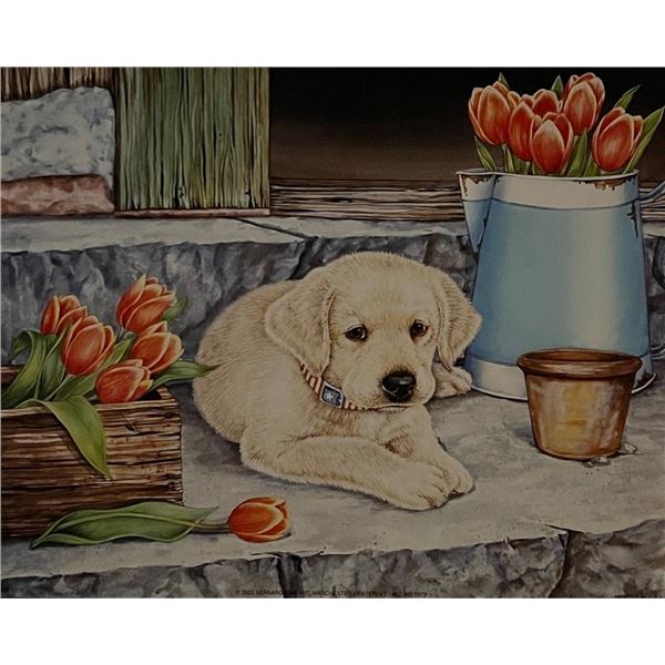 Vintage USA Retriever Puppy Garden Art Print