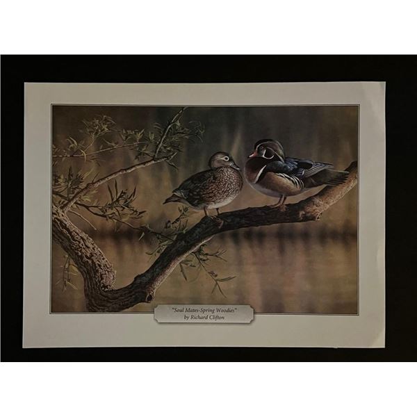 Richard Clifton Bird Art Print