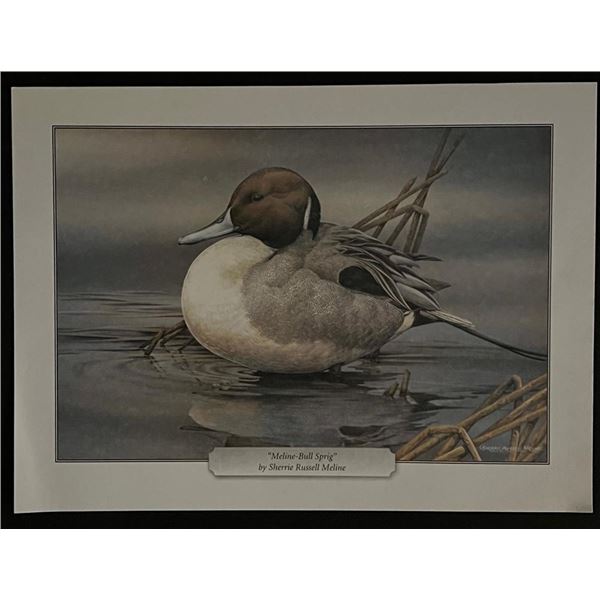 Sherrie Russell Meline Bird Art Print