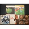 Image 1 : 5 VINYL RECORD LOT – ROCK & POP / TINA TURNER, BECK, BEACH BOYS / 1960s–1990s / CL