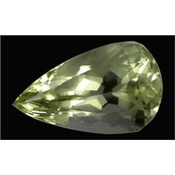 11.7ct Jumbo Richest Unheated Lemmon Green Kunzite Appraisal Estimate $1814 (GEM-18252)