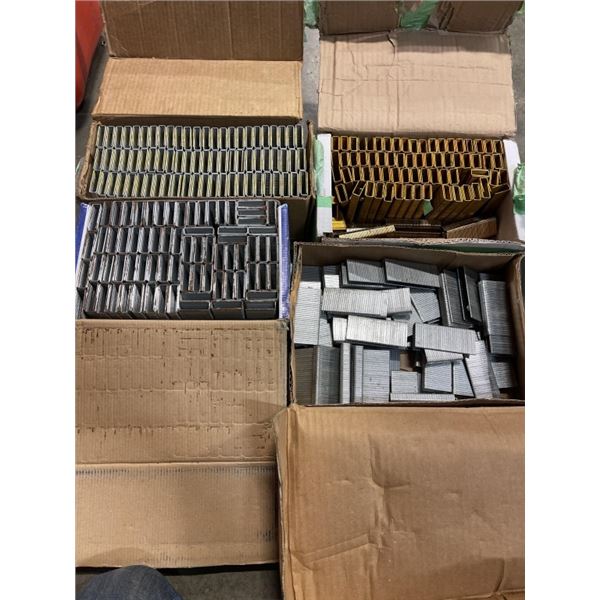 4 BOXES OF GALVANISED STA[PLES