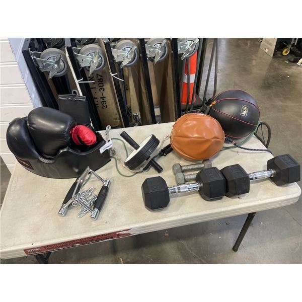 LOT OF FITNESS EQUIPTMENT - PUNCHING BAGS, DUMBELLS, BOXING GLOVES, ETC