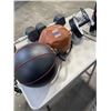 Image 4 : LOT OF FITNESS EQUIPTMENT - PUNCHING BAGS, DUMBELLS, BOXING GLOVES, ETC