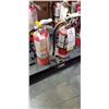 Image 1 : 2 FIRE EXTINGUISHERS, CHARGED