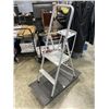 Image 2 : STEP LADDER AND 4 WHEEL CART