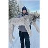Image 1 : DRIFTWOOD VALLEY: 8-Day/8-Night Trapline Adventure for One Hunter in B.C. - Includes Trophy Fees