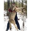 Image 2 : DRIFTWOOD VALLEY: 8-Day/8-Night Trapline Adventure for One Hunter in B.C. - Includes Trophy Fees