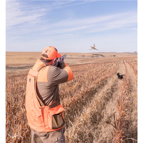 STUKELS: 2-Day/3-Night Premium Upland Bird Hunt for Five Hunters in South Dakota