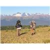 Image 6 : NADINA GUIDE OUTFITTERS: 10-Day/10-Night Mtn. Goat Hunt for One Hunter in B.C. - Includes Trophy Fee