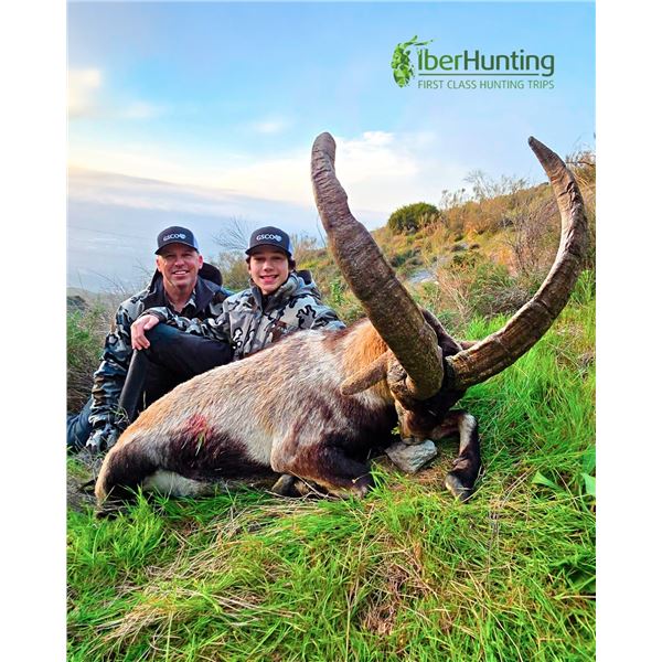IBERHUNTING SPAIN: 4-Day Ibex & Stag Hunt for One Hunter and One NH in Spain - Includes Trophy Fees