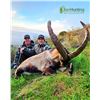 Image 1 : IBERHUNTING SPAIN: 4-Day Ibex & Stag Hunt for One Hunter and One NH in Spain - Includes Trophy Fees