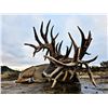 Image 3 : STAR S RANCH: 3-Day/2-Night Whitetail Hunt for One Hunter and One NH in Texas - Includes Trophy Fee