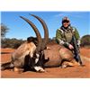 Image 2 : LEEUWKOP: 7-Day Buffalo, Sable, Roan Hunt for Two Hunters in South Africa - Includes Trophy Fees