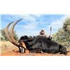 Image 3 : LEEUWKOP: 7-Day Buffalo, Sable, Roan Hunt for Two Hunters in South Africa - Includes Trophy Fees