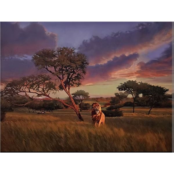 JACOB CORRIE: Original Oil on Canvas of a Lion on the African Savanna