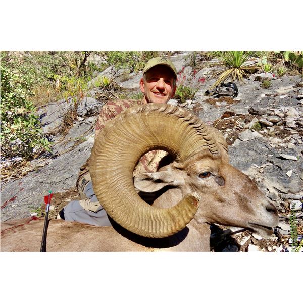 PUERTA LAS HAYAS: 7-Day Bighorn Sheep Hunt for One Hunter and One NH in Mexico - Includes Trophy
