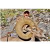 Image 1 : PUERTA LAS HAYAS: 7-Day Bighorn Sheep Hunt for One Hunter and One NH in Mexico - Includes Trophy