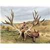 Image 1 : LOCHINVAR: 5-Day/5-Night Red Stag Hunt for One Hunter and One NH in NZ - Includes Trophy Fee