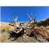Image 2 : LOCHINVAR: 5-Day/5-Night Red Stag Hunt for One Hunter and One NH in NZ - Includes Trophy Fee