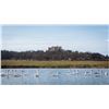 Image 15 : BELVOIR CASTLE:2-Day/3-Night Royal Upland Bird Experience for Eight Hunters and Eight NHs in UK
