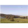 Image 2 : BELVOIR CASTLE:2-Day/3-Night Royal Upland Bird Experience for Eight Hunters and Eight NHs in UK