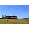 Image 3 : BELVOIR CASTLE:2-Day/3-Night Royal Upland Bird Experience for Eight Hunters and Eight NHs in UK