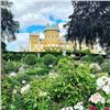 Image 8 : BELVOIR CASTLE:2-Day/3-Night Royal Upland Bird Experience for Eight Hunters and Eight NHs in UK