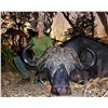Image 4 : INFINITO SAFARIS: 13-Day/14-Night Leopard and Cape Buffalo Hunt for One Hunter in Tanzania