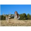 Image 1 : BRIARWOOD: 3-Day/4-Night Whitetail Deer Hunt for Two Hunters in Ohio - Includes Trophy Fees
