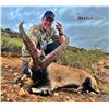 Image 1 : IBEXHUNTSPAIN: 8-Day Ibex & Red Deer Hunt for One Hunter and One NH in Spain - Includes Trophy Fees