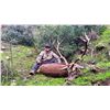 Image 2 : IBEXHUNTSPAIN: 8-Day Ibex & Red Deer Hunt for One Hunter and One NH in Spain - Includes Trophy Fees