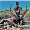 Image 3 : IBEXHUNTSPAIN: 8-Day Ibex & Red Deer Hunt for One Hunter and One NH in Spain - Includes Trophy Fees