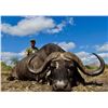 Image 1 : GAME TRACKERS: 7-Day/8-Night Cape Buffalo Hunt for One Hunter in Tanzania - Includes Trophy Fee