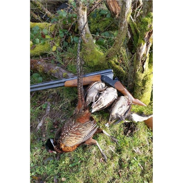 GAME HUNTING IRELAND: 5-Day Big Game and Mixed Bag Hunt for One Hunter and One NH in Ireland