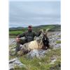Image 3 : GAME HUNTING IRELAND: 5-Day Big Game and Mixed Bag Hunt for One Hunter and One NH in Ireland