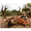 Image 3 : TGB OUTFITTERS: 7-Day/7-Night Big Game Hunt for Two Hunters in Argentina - Includes Trophy Fees
