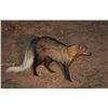 Image 5 : HUNTERS CREEK: 5-Day/4-Night Small Game Safari for Two Hunters in South Africa - Includes Trophies