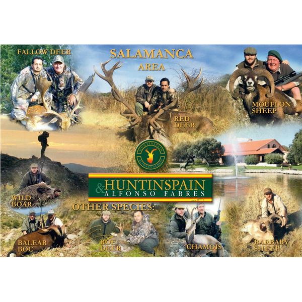 HUNTINSPAIN: 5-Day/4-Night Big Game Hunt for One Hunter and One NH in Spain - Includes Trophy Fee