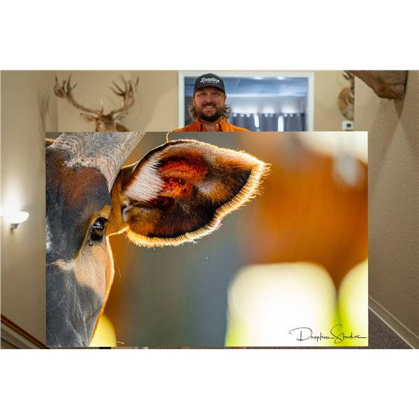 DROPTINE STUDIOS: One-of-a-Kind Museum-Quality Metal Bongo Print
