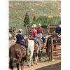 Image 13 : CEDAR EATERS OF TEXAS: 5-Night Retreat for 10 Guests at the Wiley Spur Ranch in Colorado