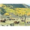 Image 14 : CEDAR EATERS OF TEXAS: 5-Night Retreat for 10 Guests at the Wiley Spur Ranch in Colorado