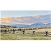 Image 9 : CEDAR EATERS OF TEXAS: 5-Night Retreat for 10 Guests at the Wiley Spur Ranch in Colorado