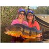 Image 5 : AMAZON XTREME FISHING: 7-Day/6-Night Amazon Fishing Adventure for One Angler in Brazil