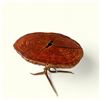 Image 2 : LAKE ANTLER WORKS: Beautiful Live Edge Bistro Table