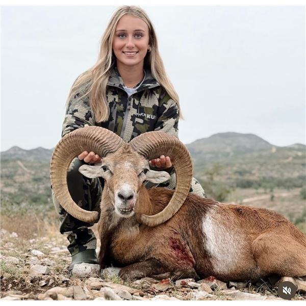 OX HUNTING RANCH: 3-Day Exotic Hunt for One Hunter and One NH in Texas - Includes Trophy Credit