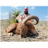 Image 3 : OX HUNTING RANCH: 3-Day Exotic Hunt for One Hunter and One NH in Texas - Includes Trophy Credit