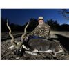 Image 5 : OX HUNTING RANCH: 3-Day Exotic Hunt for One Hunter and One NH in Texas - Includes Trophy Credit